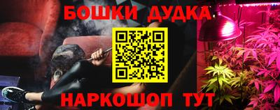 прущие крисы Новозыбков