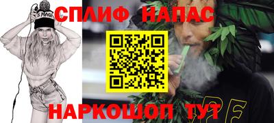 прущие крисы Новозыбков