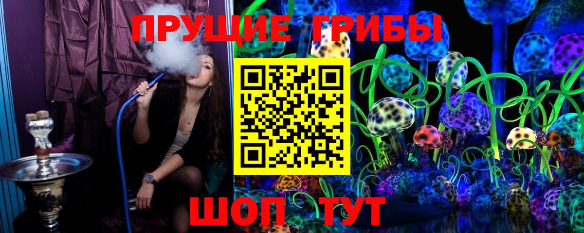 Галлюциногенные грибы GOLDEN TEACHER Пушкино